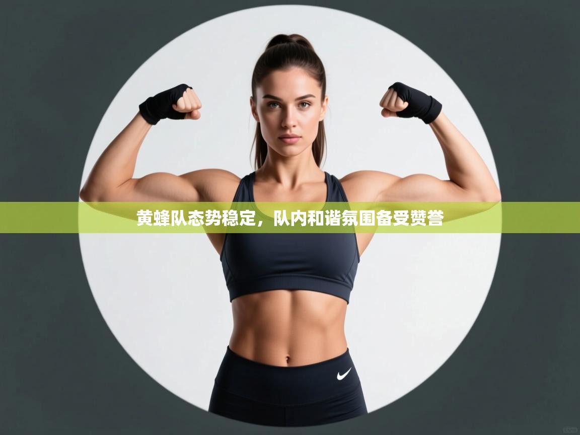 黄蜂队态势稳定,队内和谐氛围备受赞誉 第2张