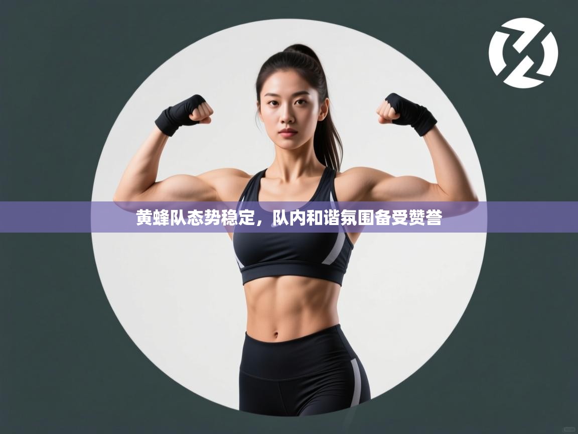 黄蜂队态势稳定,队内和谐氛围备受赞誉 第1张